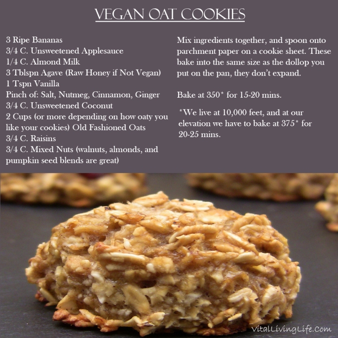 Vegan Oat Cookies